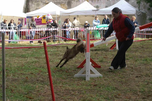 foire-haricots 2011-09-17et18